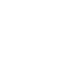 Blurbi